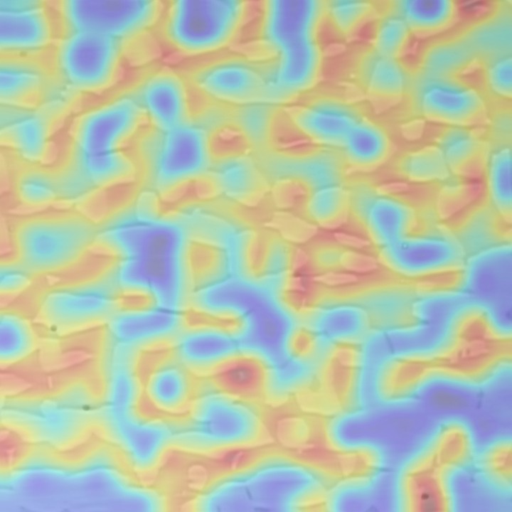 Phase-attention map over specimen HO_46.