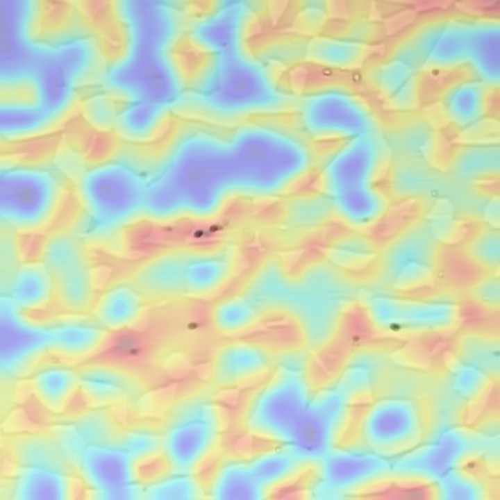 Phase-attention map over specimen HO_67.