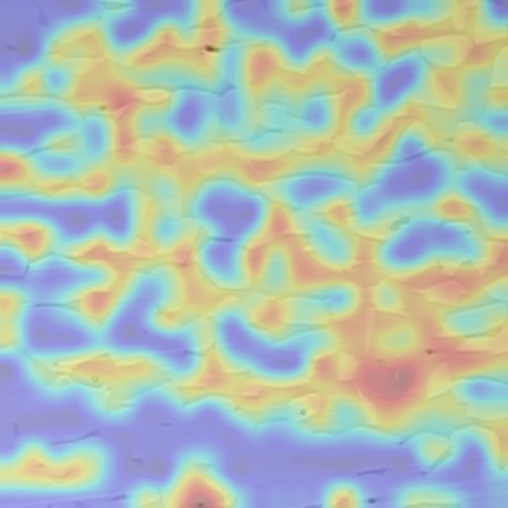 Phase-attention map over specimen HO_92.