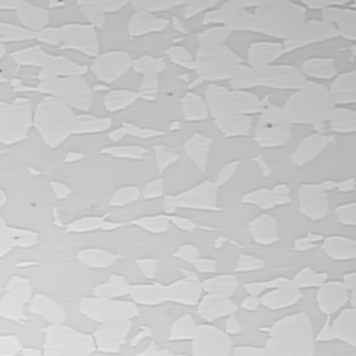 Optical micrograph of specimen HO_48.